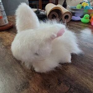 Gallerie Cadbury Bunny Plush